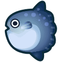 Ocean Sunfish