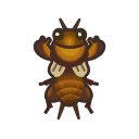 Mole Cricket