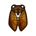 Brown Cicada