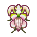 Orchid Mantis