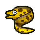 Moray Eel