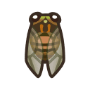 Evening Cicada